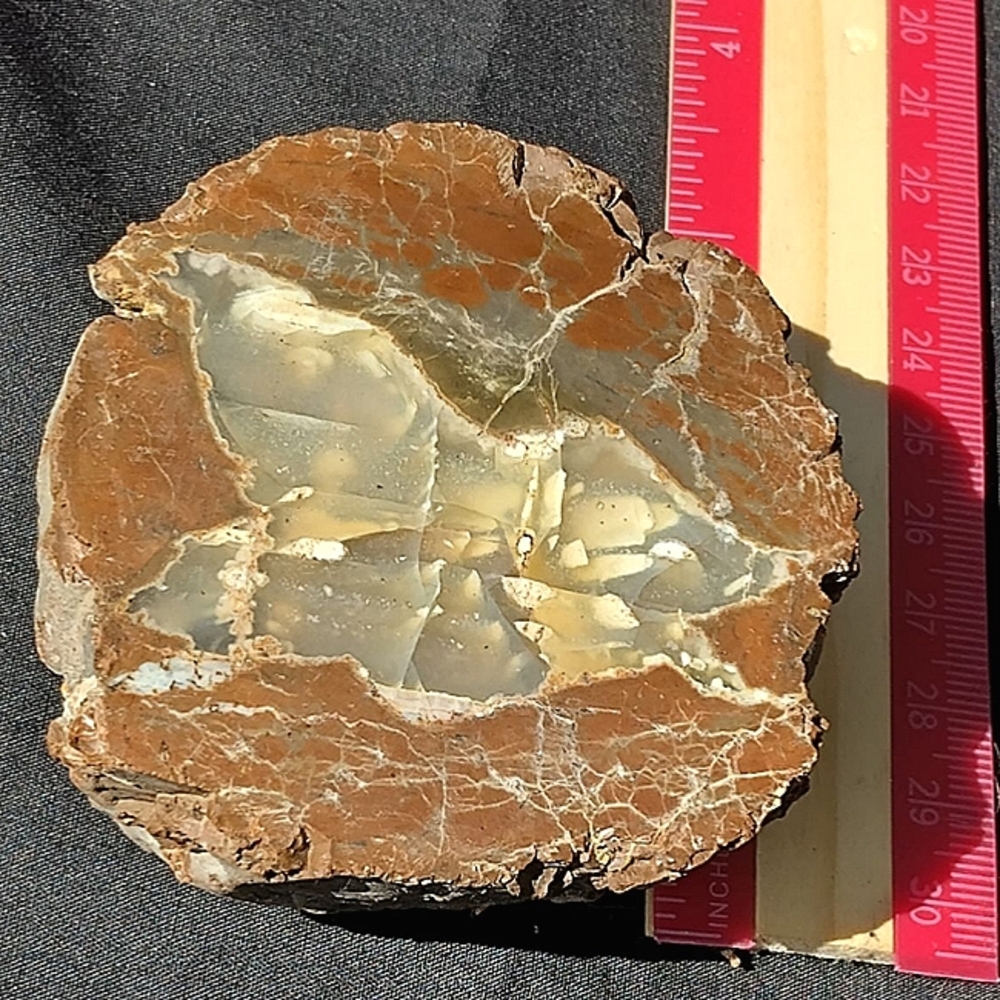 Thunderegg agate and common opal  hand cut and polished crystal